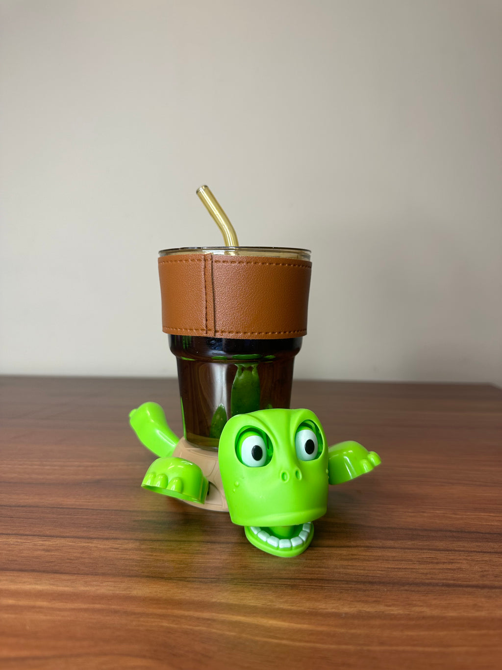 Turtle Coaster