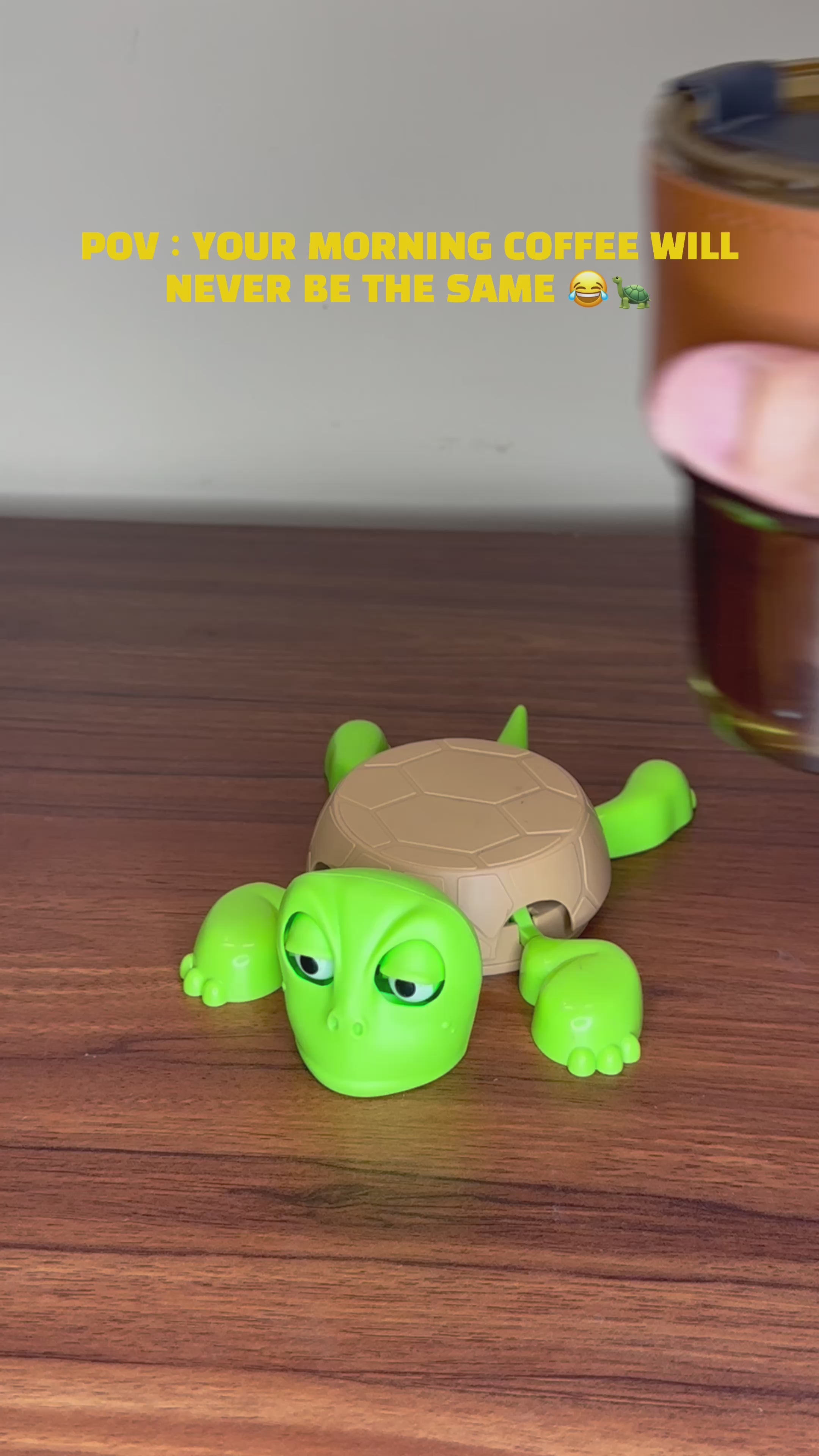 Turtle Coaster